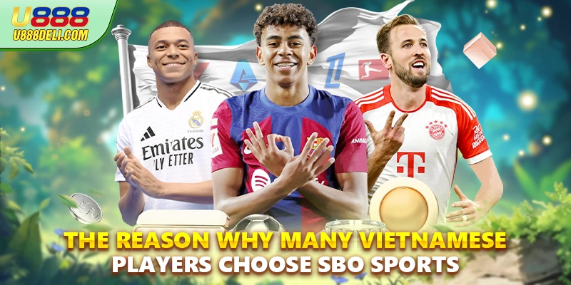 The reason why many Vietnamese players choose SBO sports